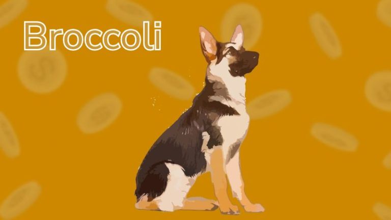broccoli